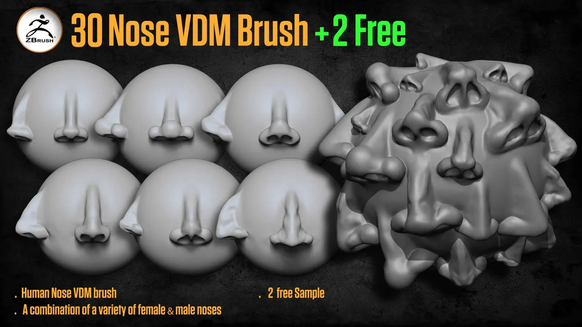 30 Human Nose VDM Brush for ZBrush