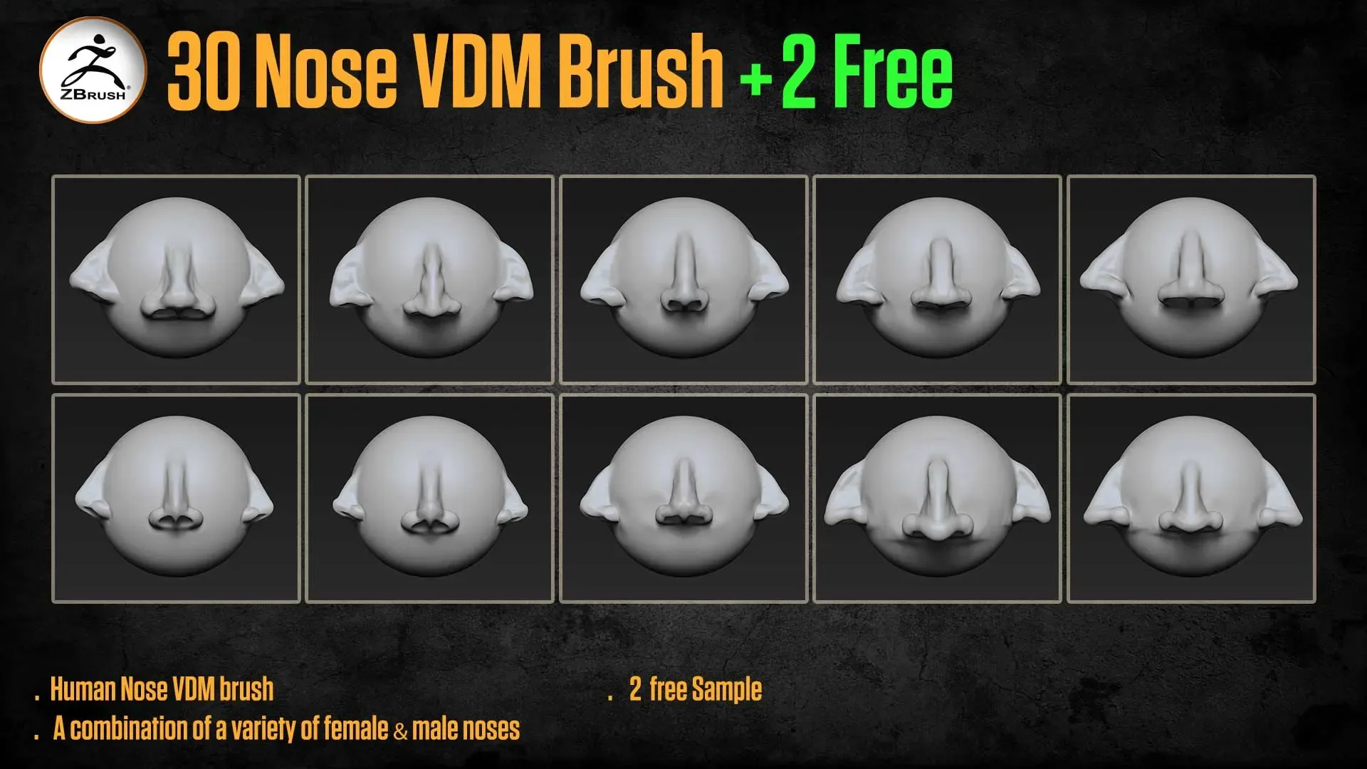30 Human Nose VDM Brush for ZBrush