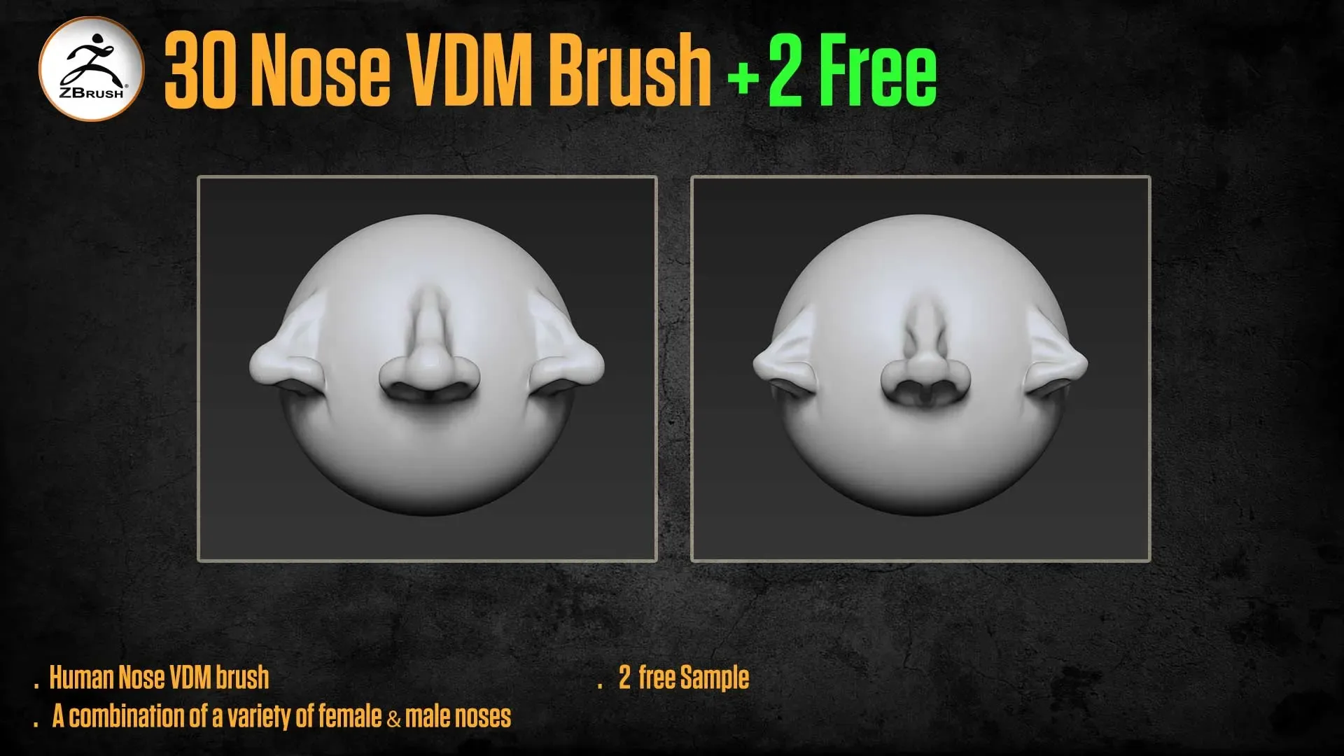 30 Human Nose VDM Brush for ZBrush