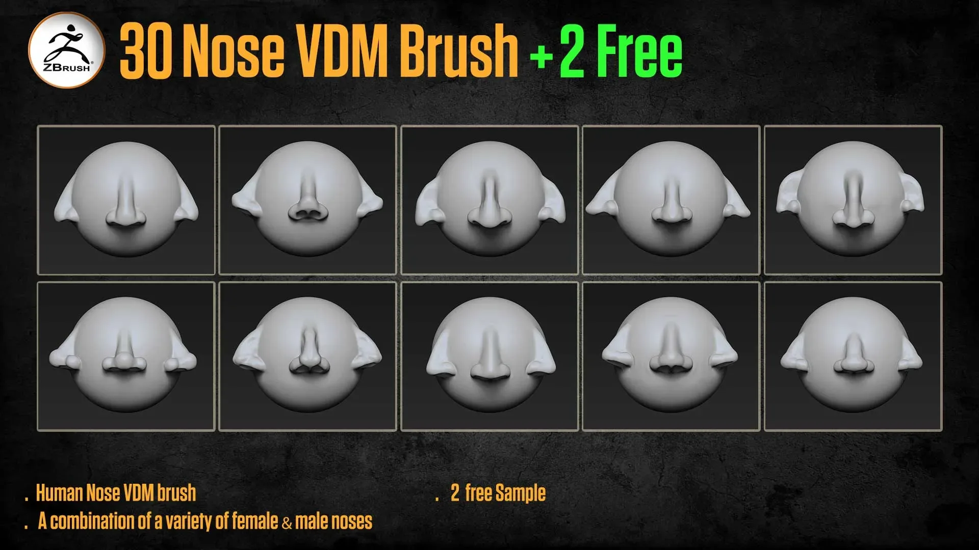 30 Human Nose VDM Brush for ZBrush