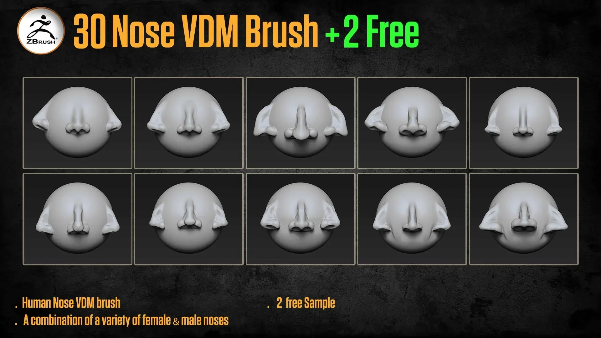 30 Human Nose VDM Brush for ZBrush