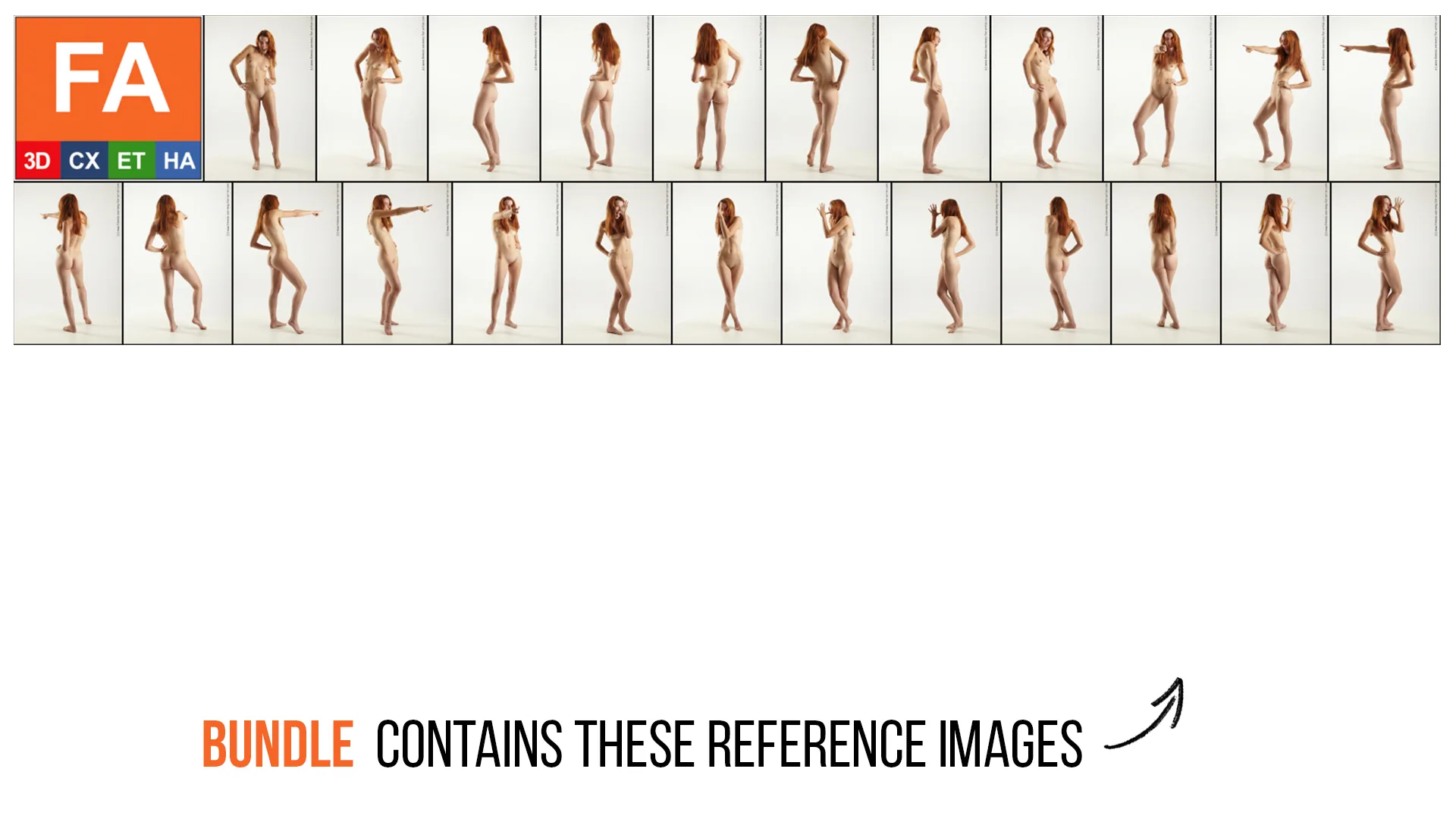 FREE | Female Anatomy | Patty | Viera | Sava