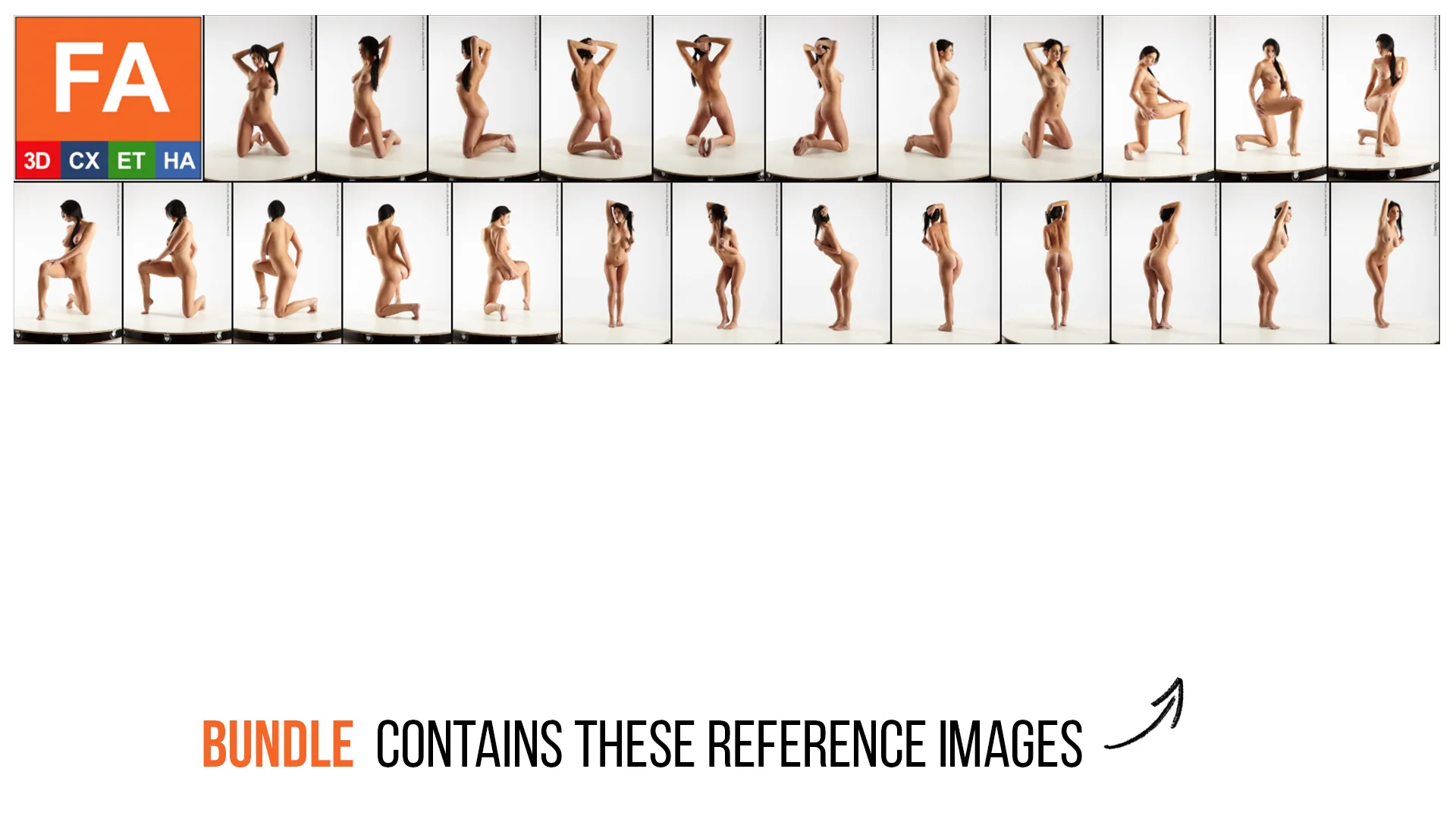 FREE | Female Anatomy | Patty | Viera | Sava