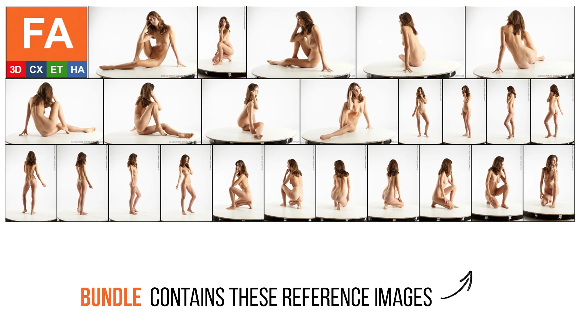 FREE | Female Anatomy | Patty | Viera | Sava