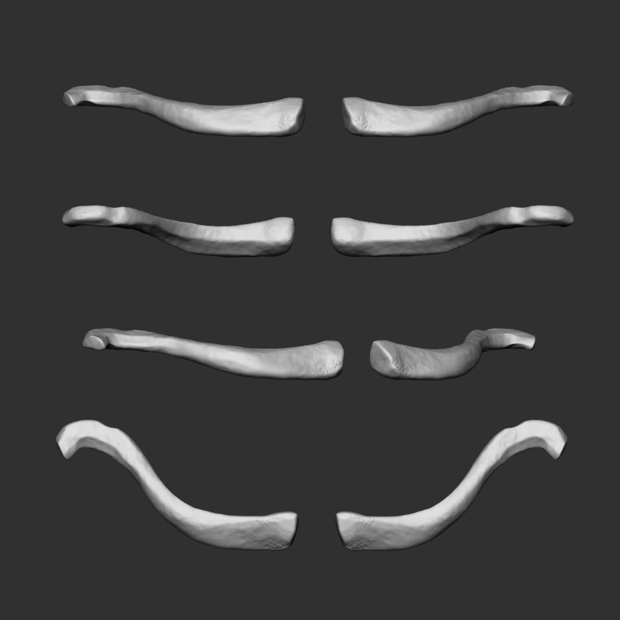 (Skeleton) Human Bones Collection IMM\Stl\Obj Brush Pack 26 in One