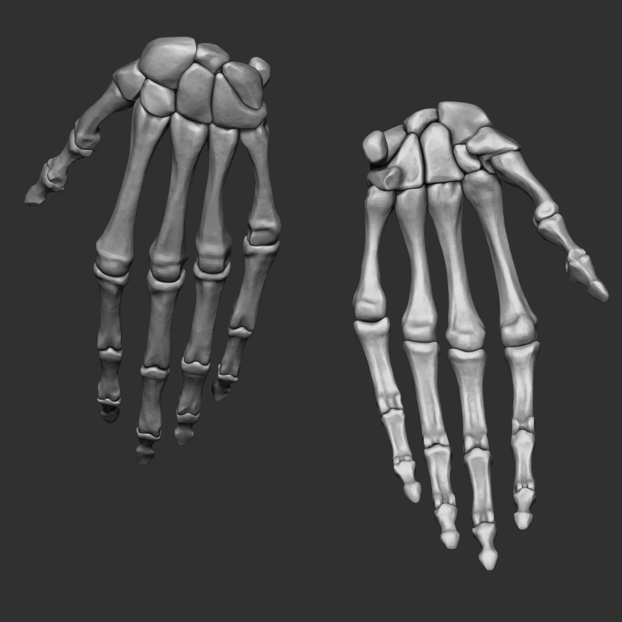 (Skeleton) Human Bones Collection IMM\Stl\Obj Brush Pack 26 in One