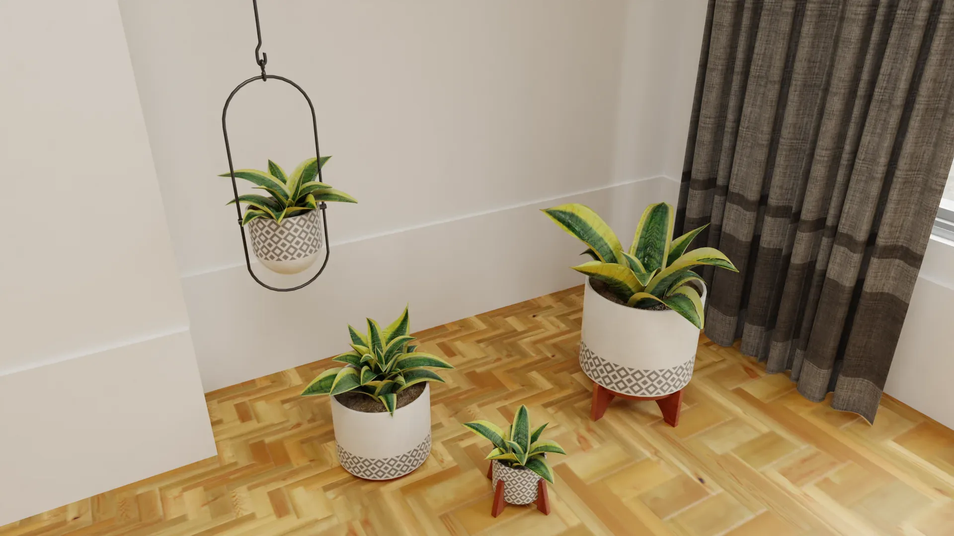 Snake Plants Collection Plants Vol 01