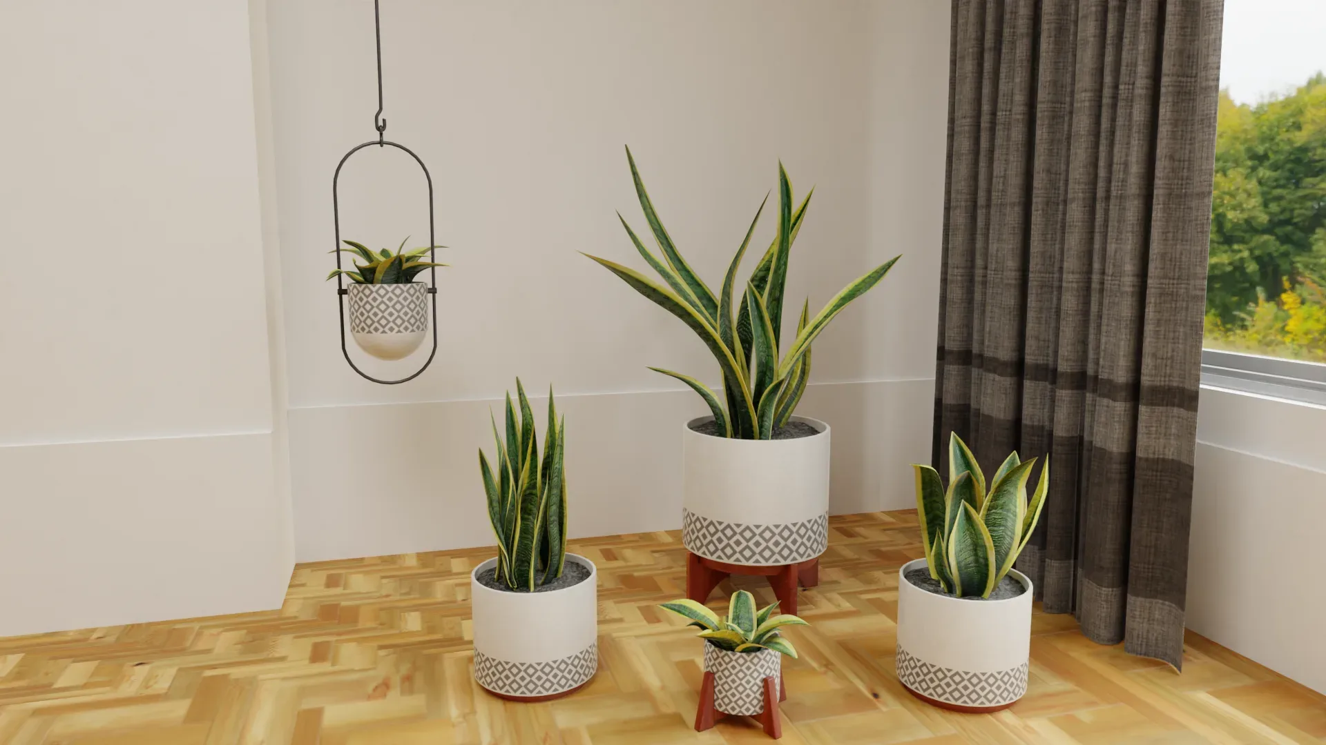 Snake Plants Collection Plants Vol 01