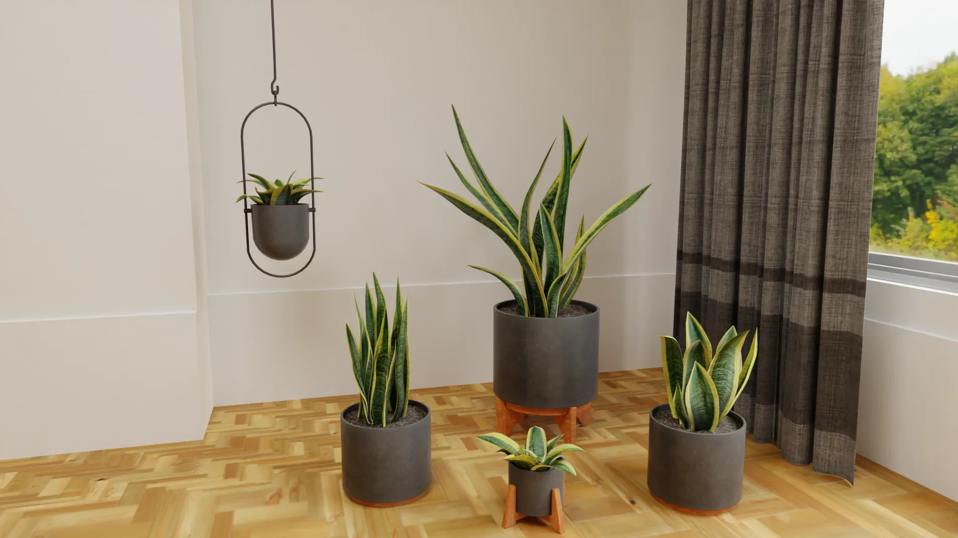 Snake Plants Collection Plants Vol 01