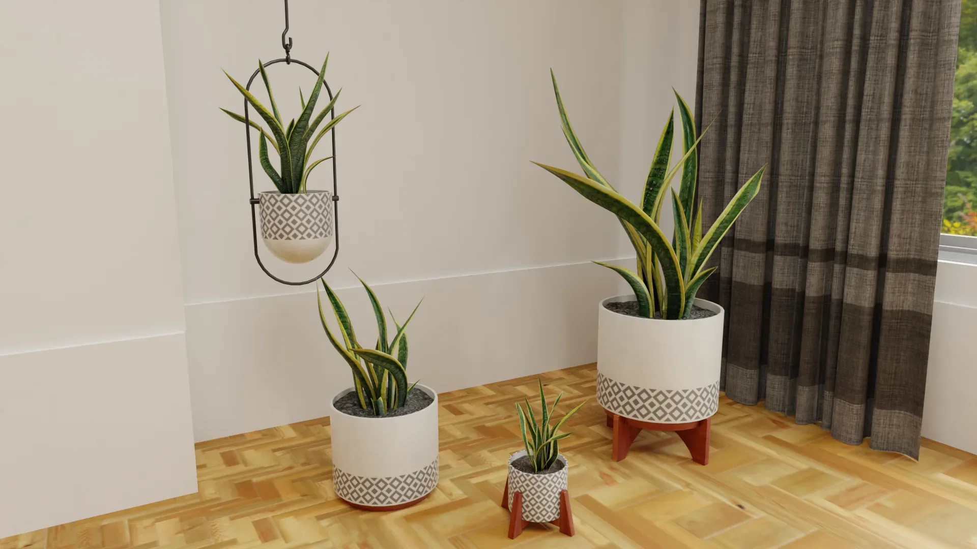 Snake Plants Collection Plants Vol 01