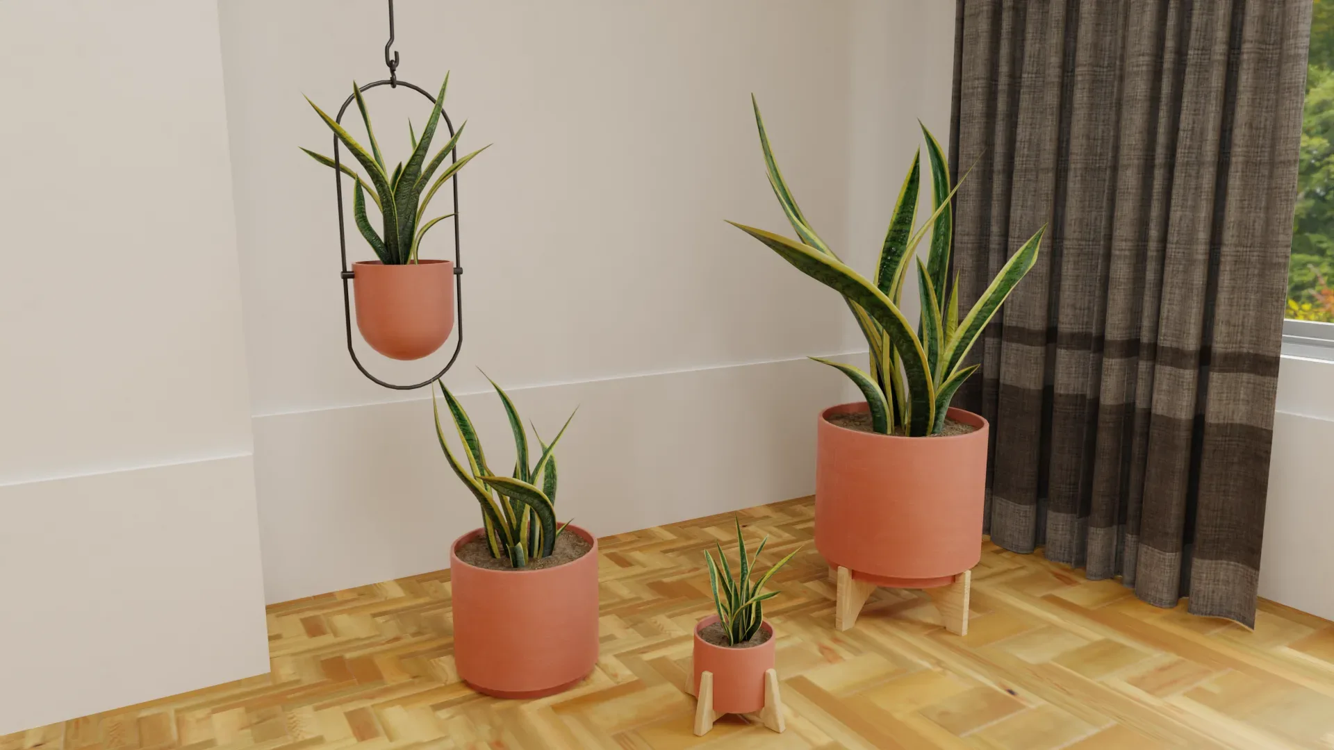 Snake Plants Collection Plants Vol 01