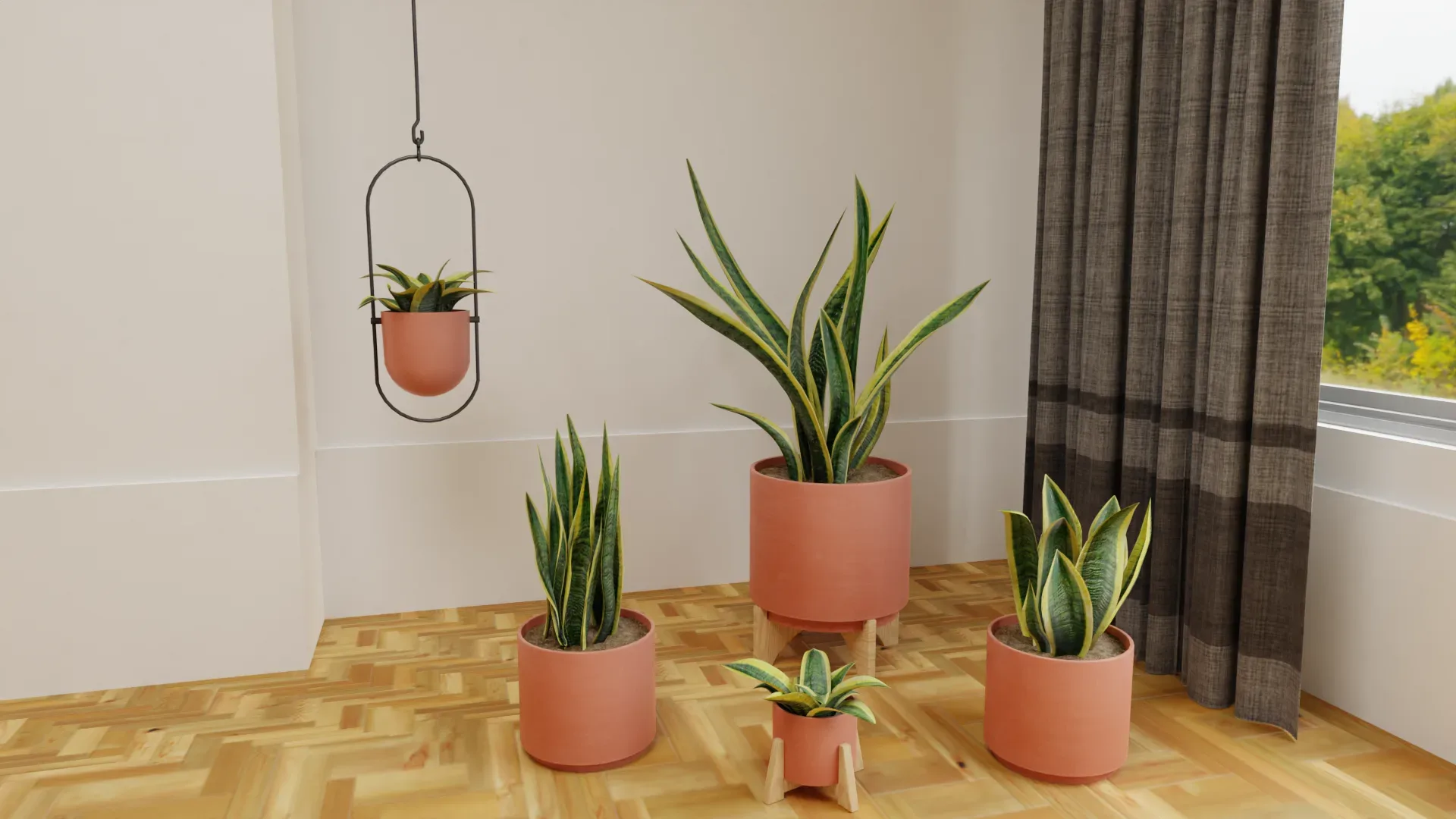 Snake Plants Collection Plants Vol 01