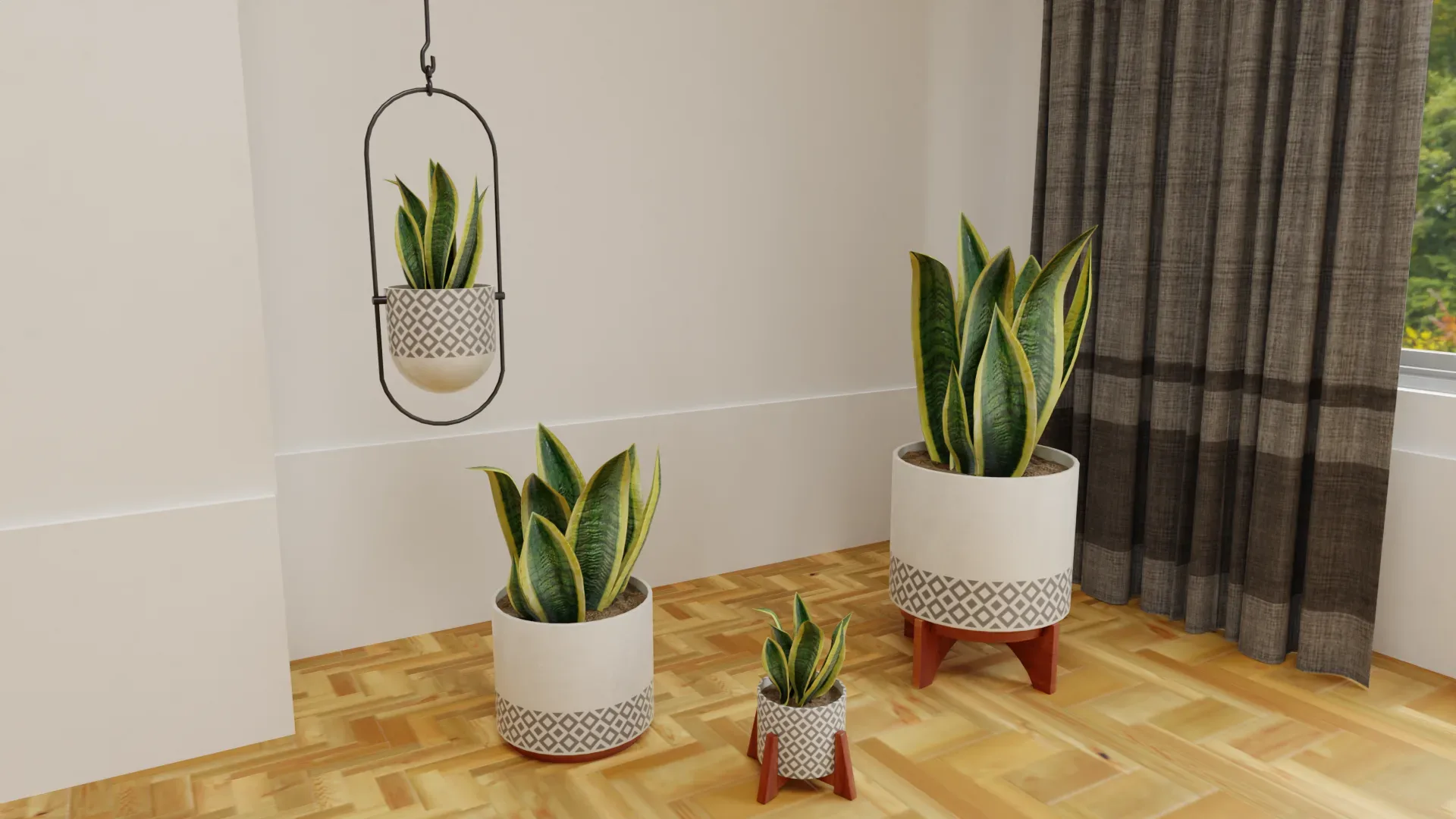 Snake Plants Collection Plants Vol 01