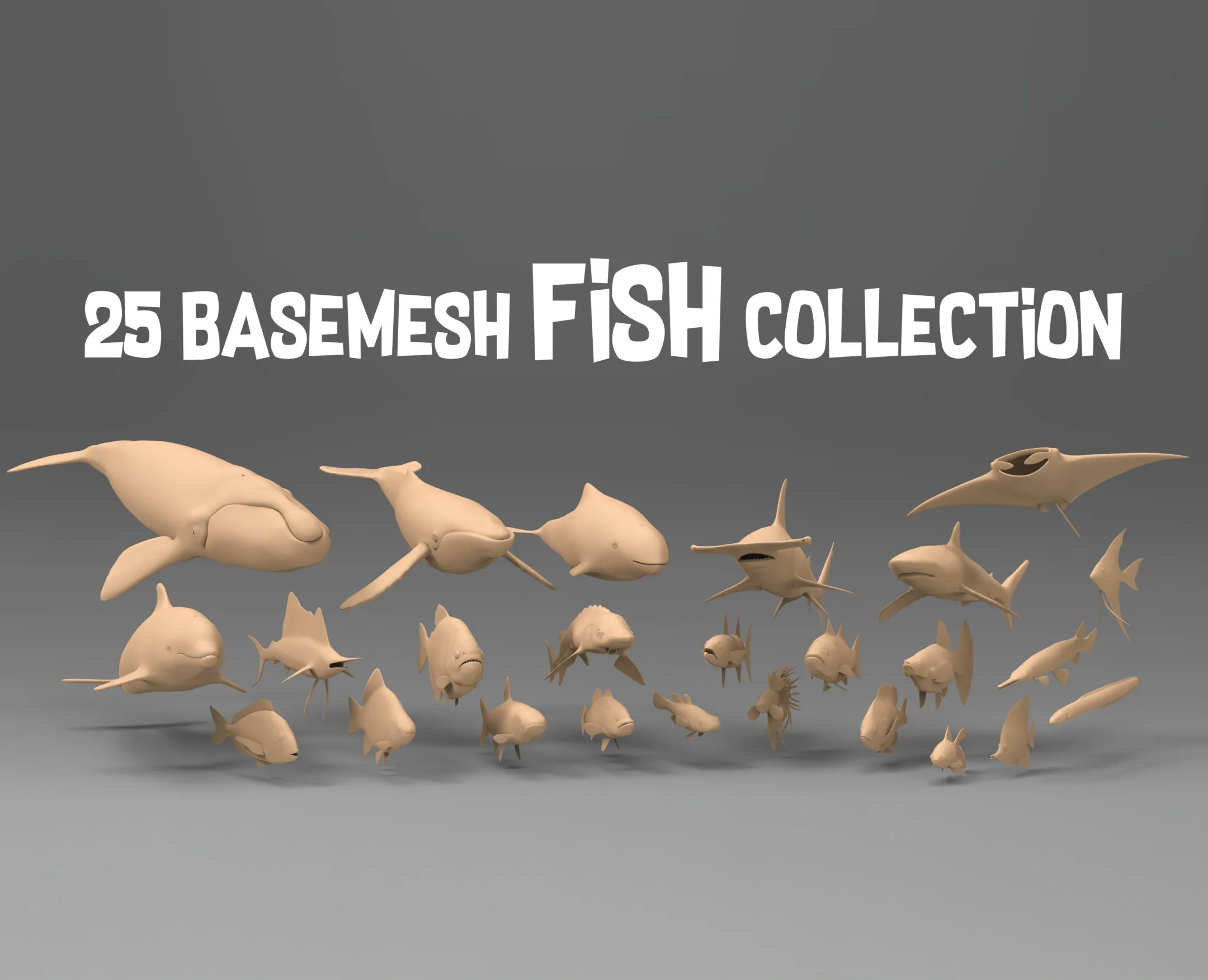 25 basemesh fish collection