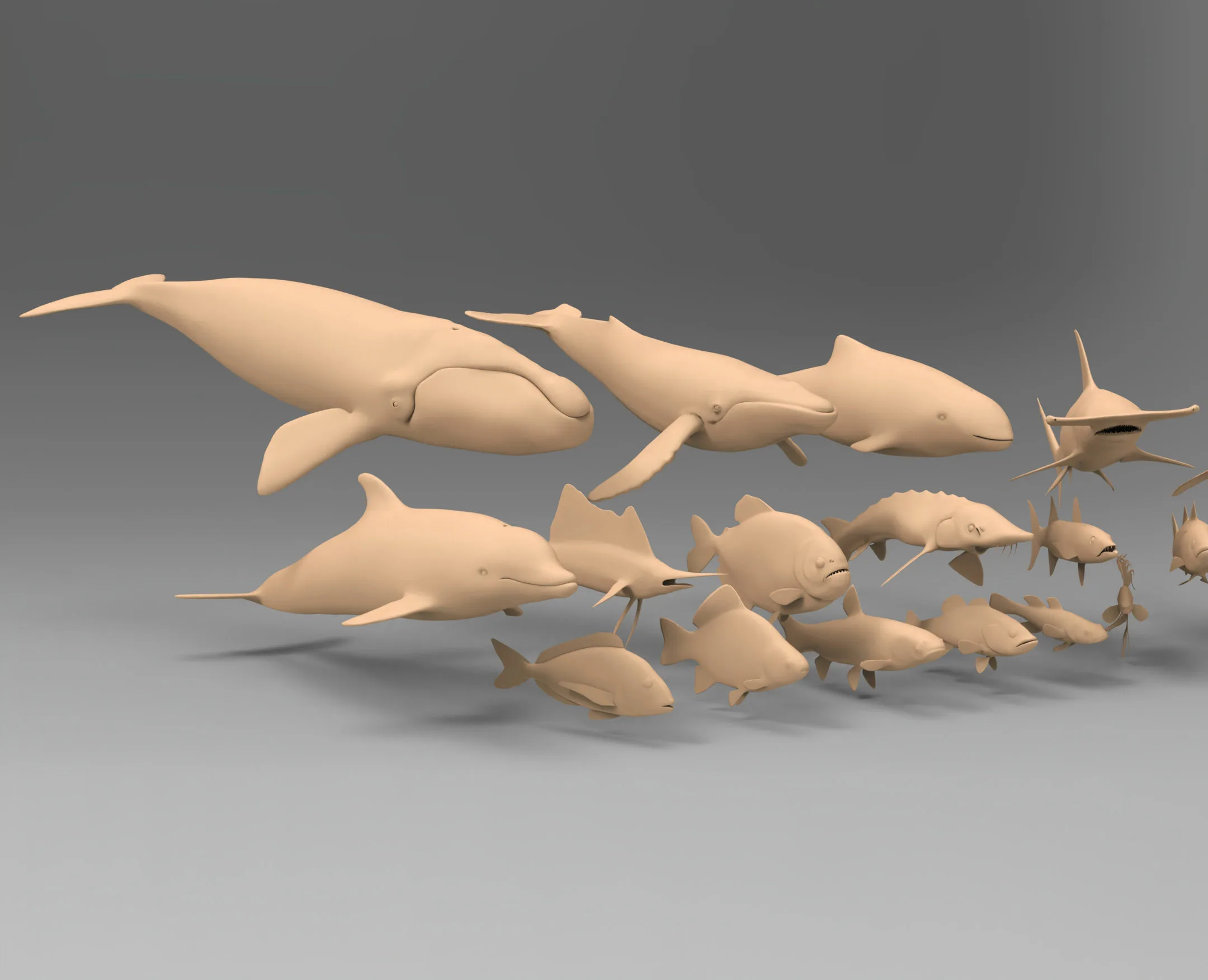 25 basemesh fish collection