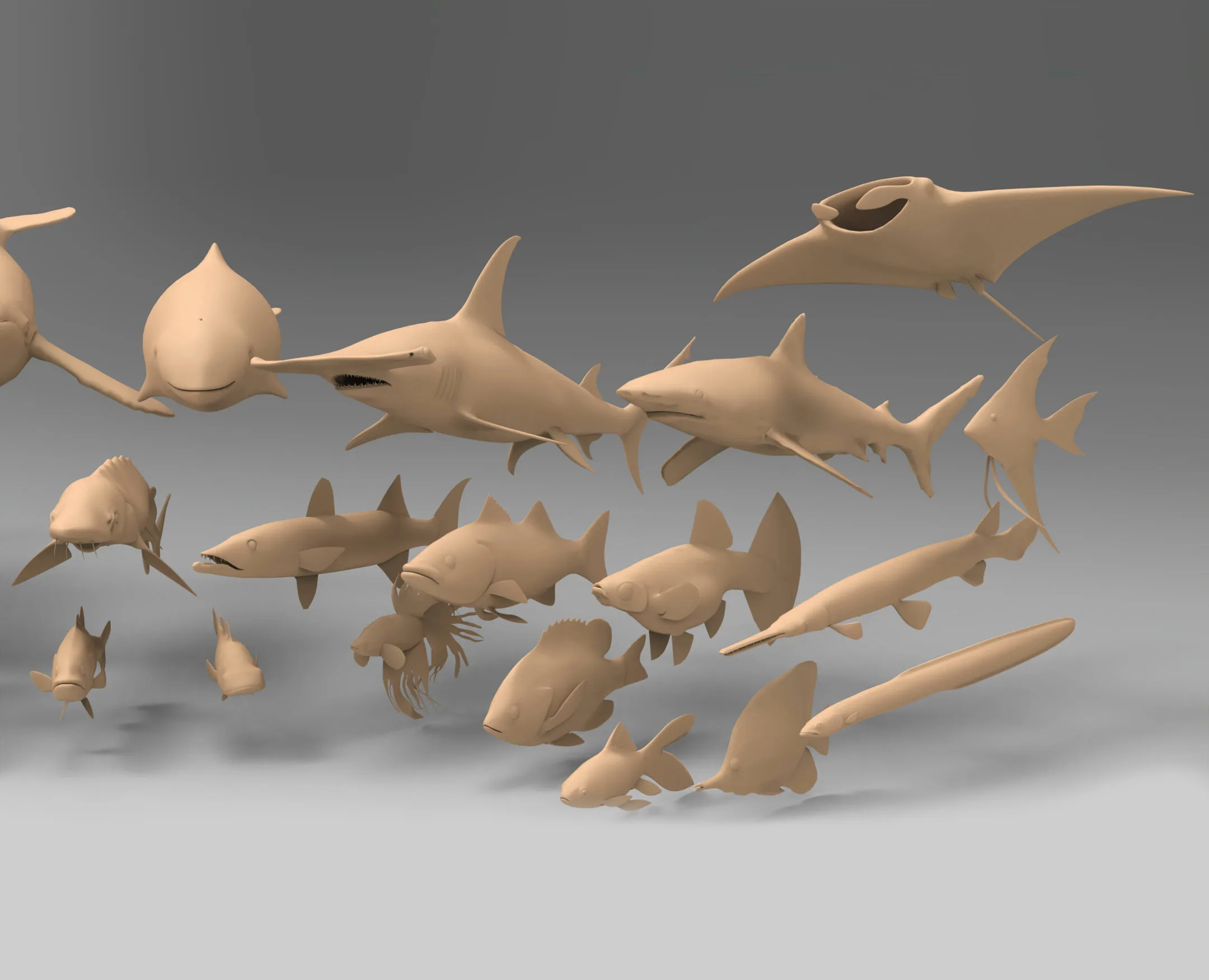 25 basemesh fish collection