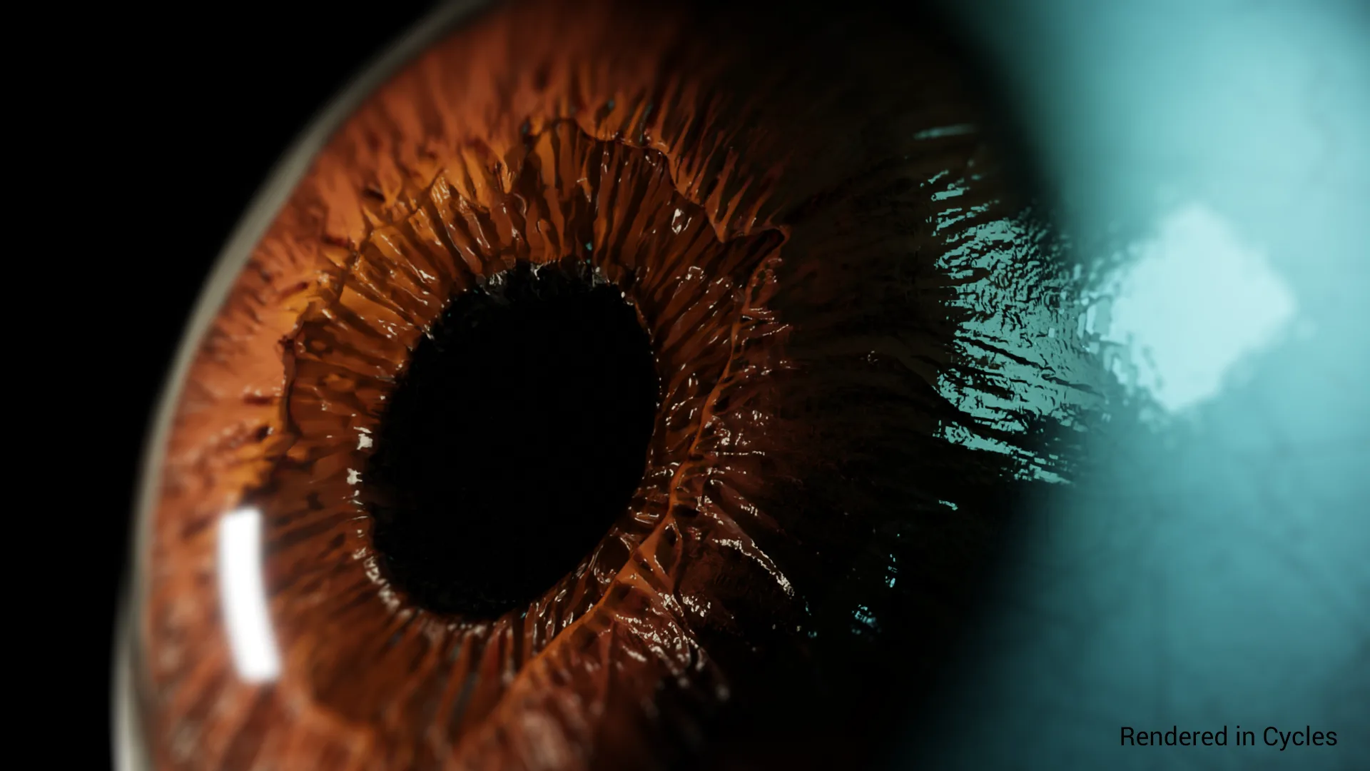 Realtime Eye Kit