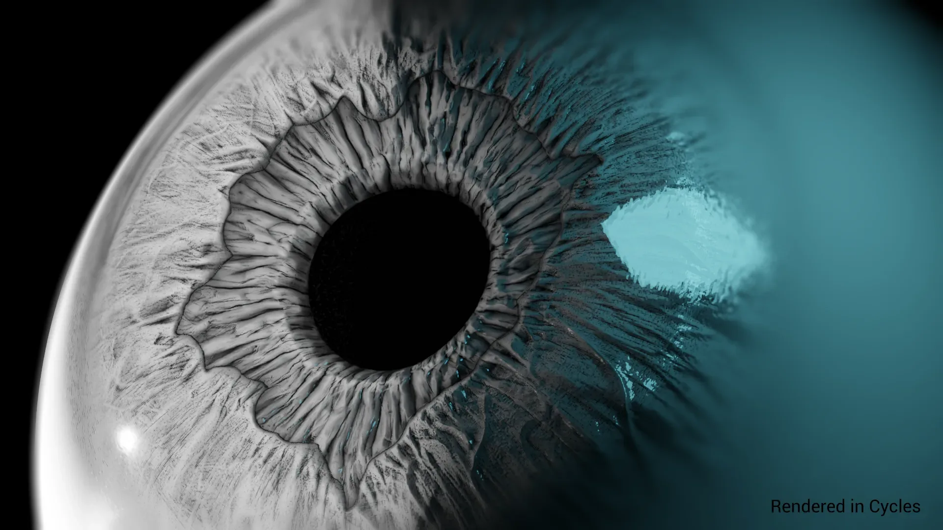 Realtime Eye Kit