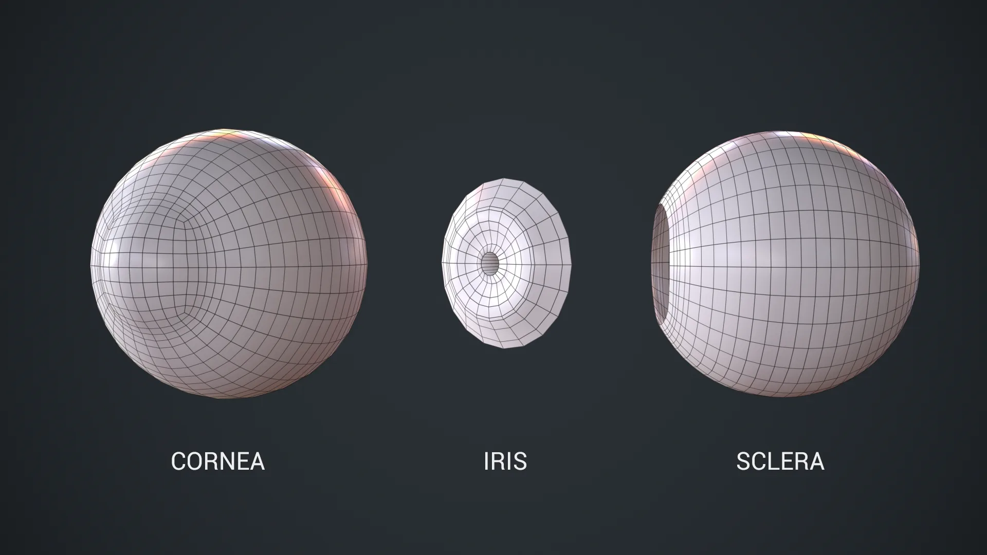 Realtime Eye Kit