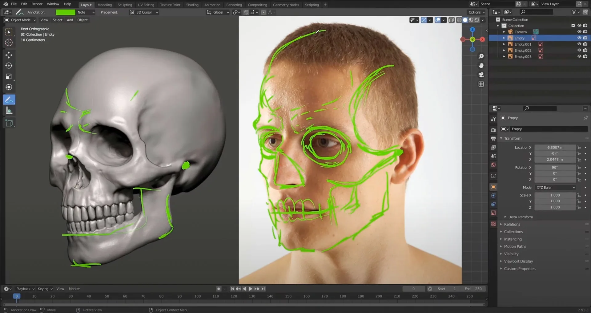 Facial Anatomy & Portrait for Blender Artists