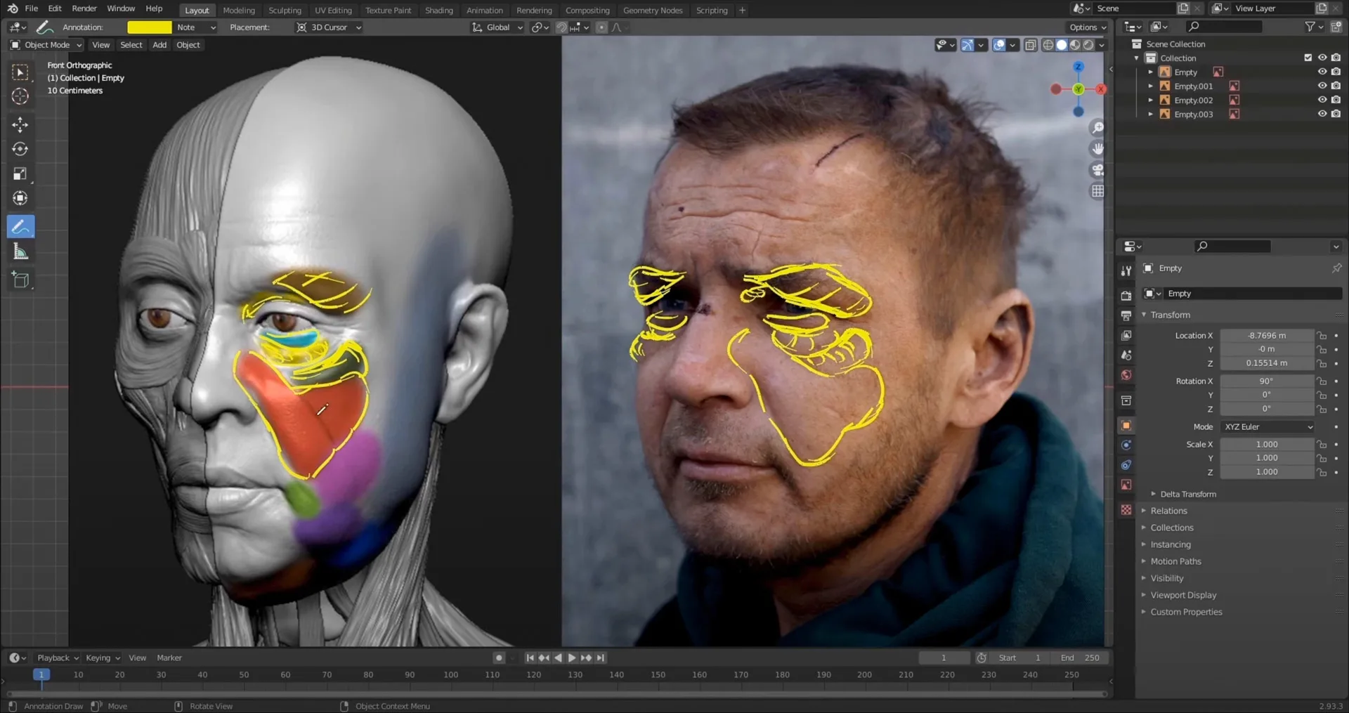 Facial Anatomy & Portrait for Blender Artists