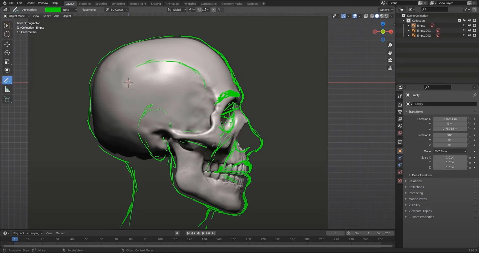 Facial Anatomy & Portrait for Blender Artists