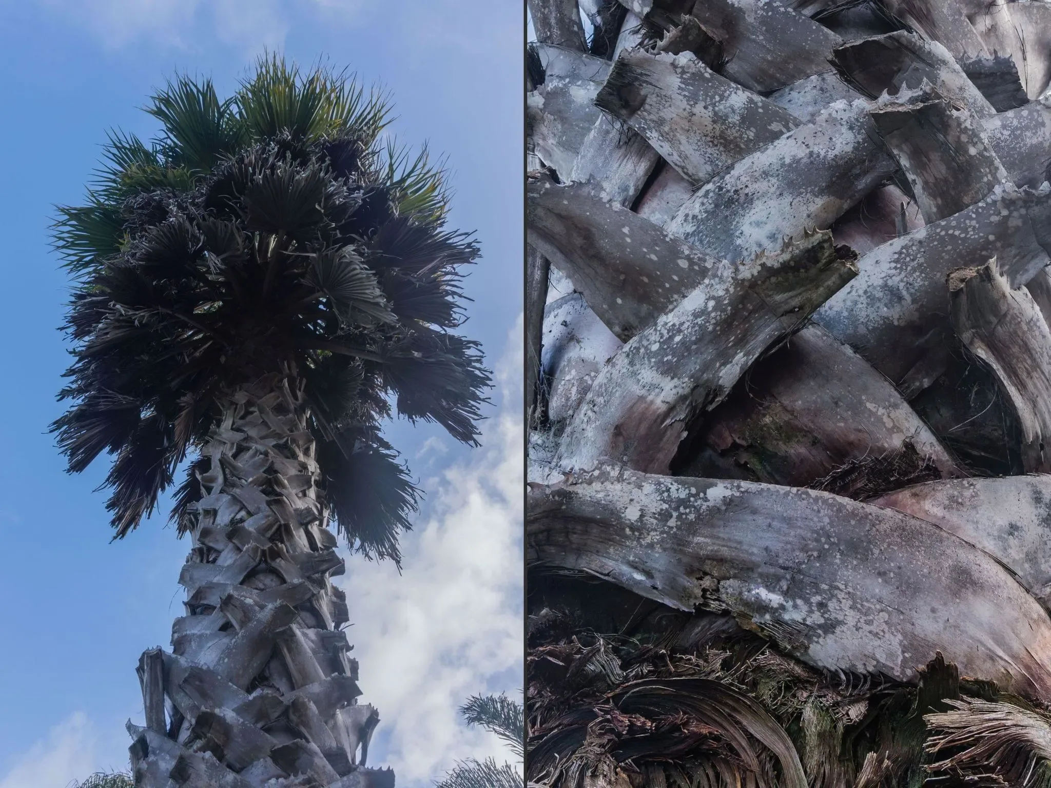 643 photos of Botanic Gardens