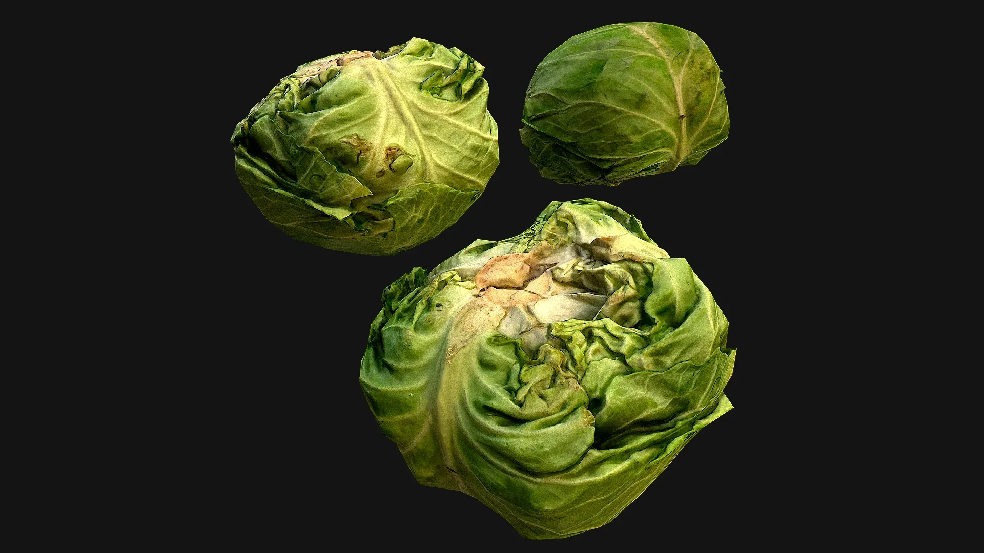 Cabbage