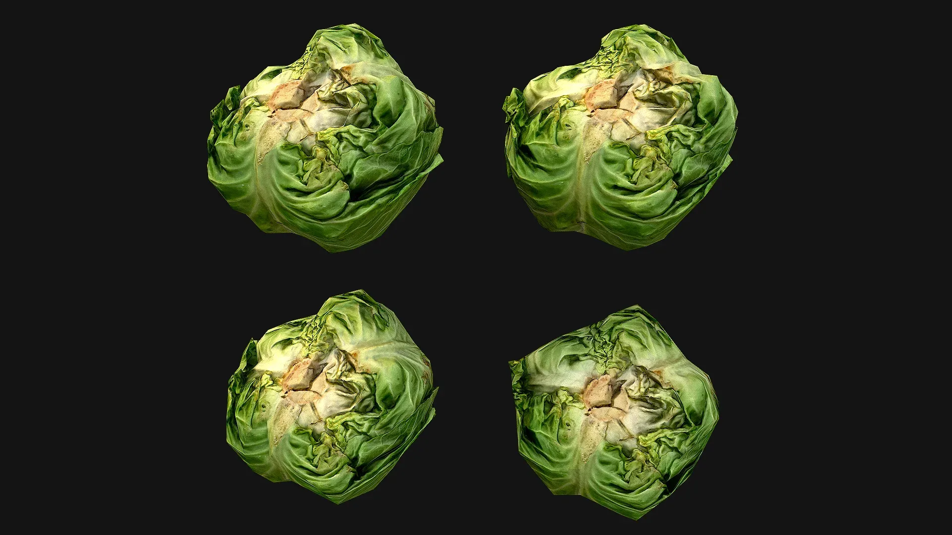 Cabbage