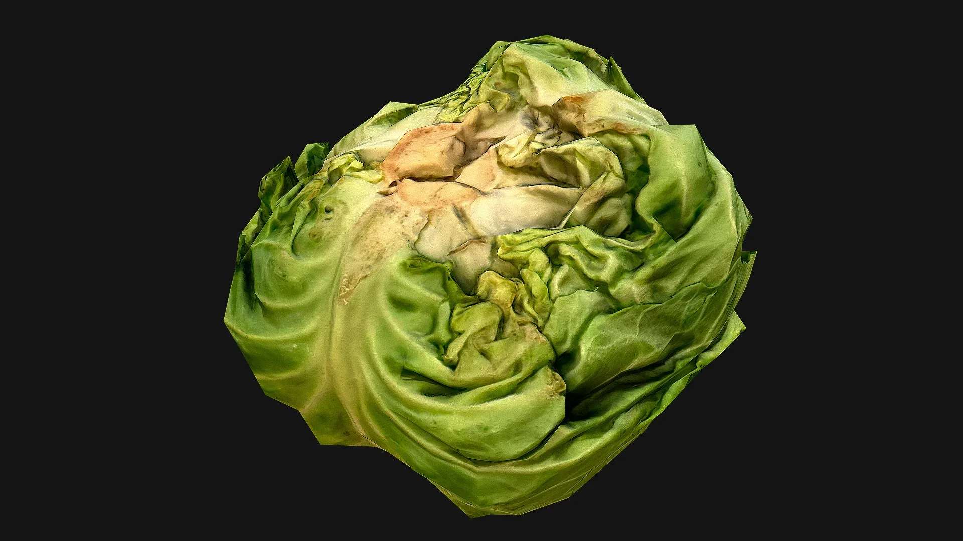 Cabbage