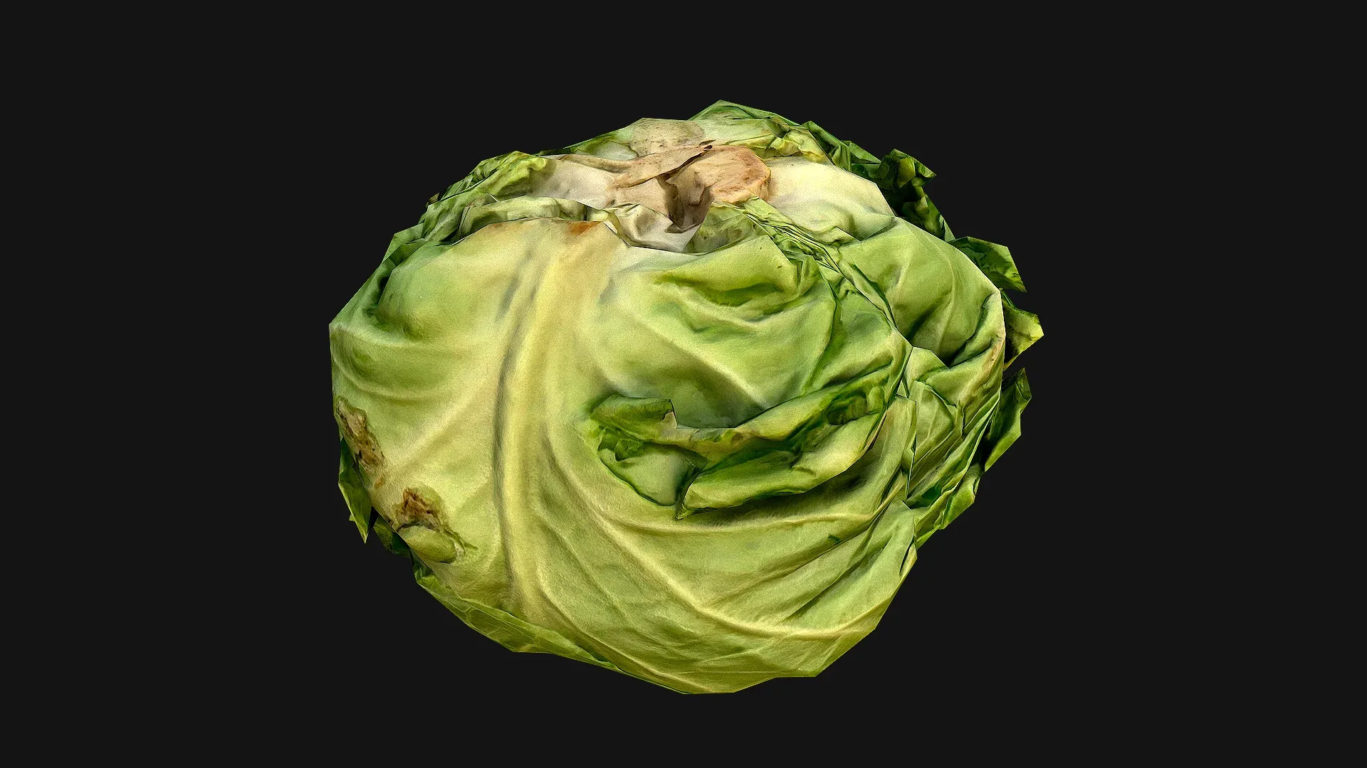 Cabbage