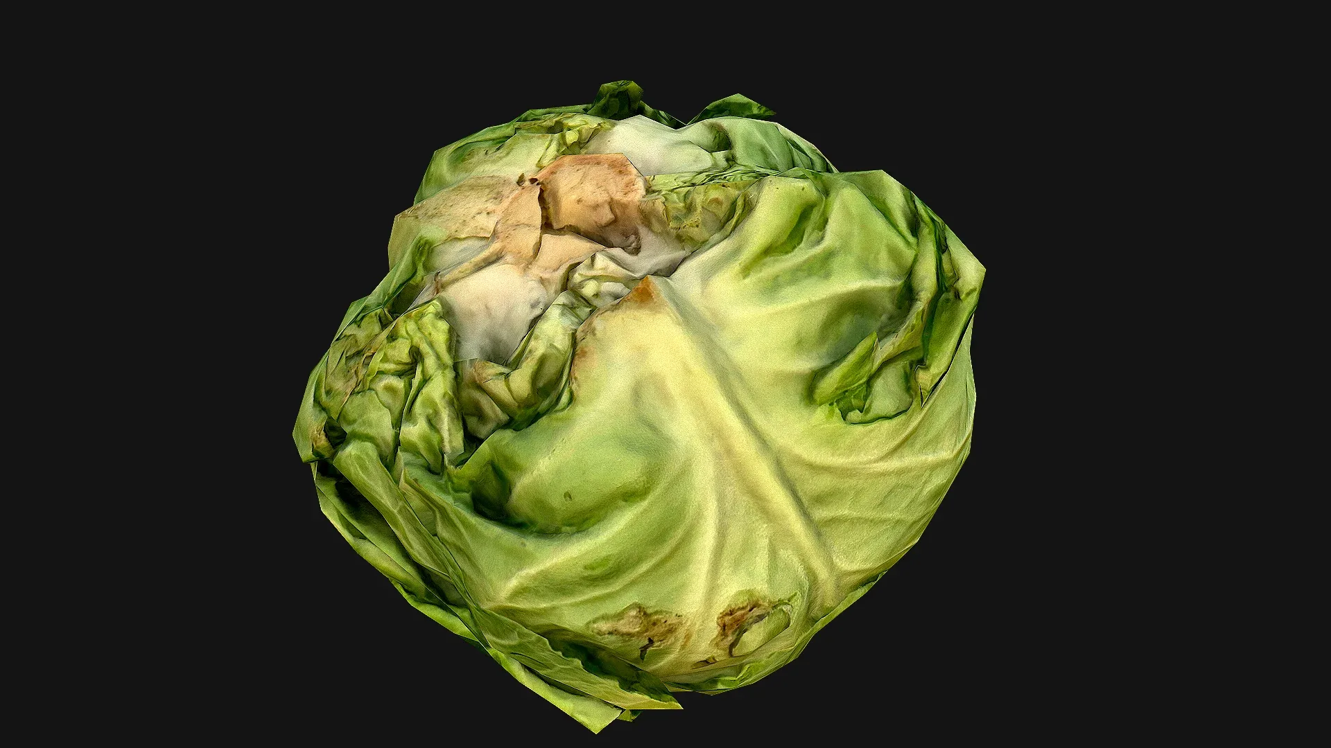 Cabbage