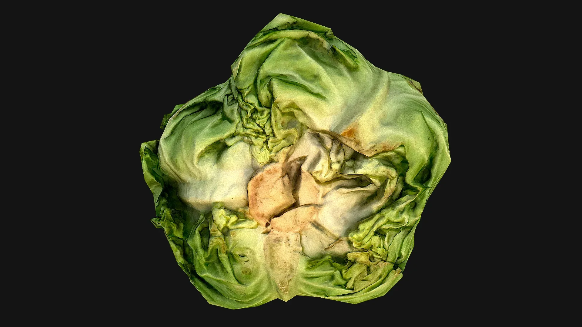 Cabbage