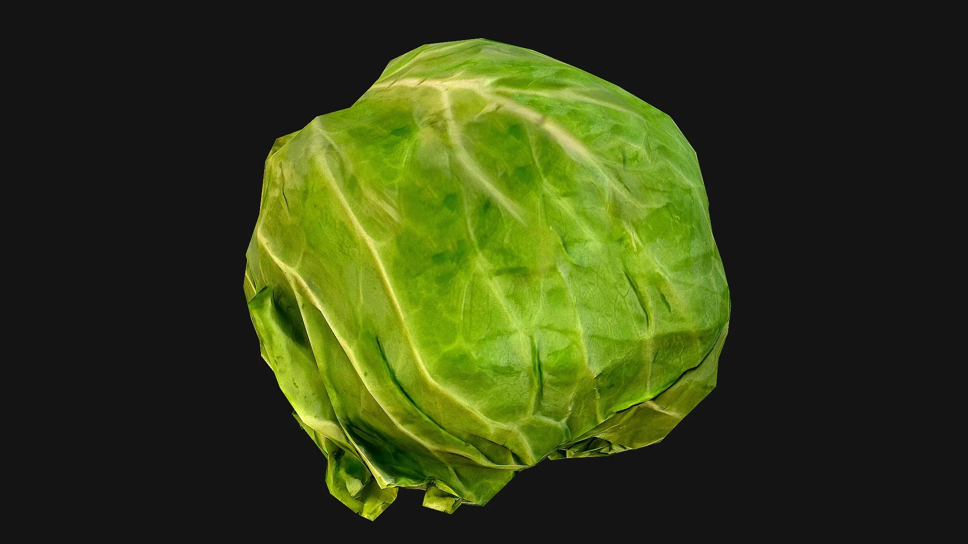 Cabbage