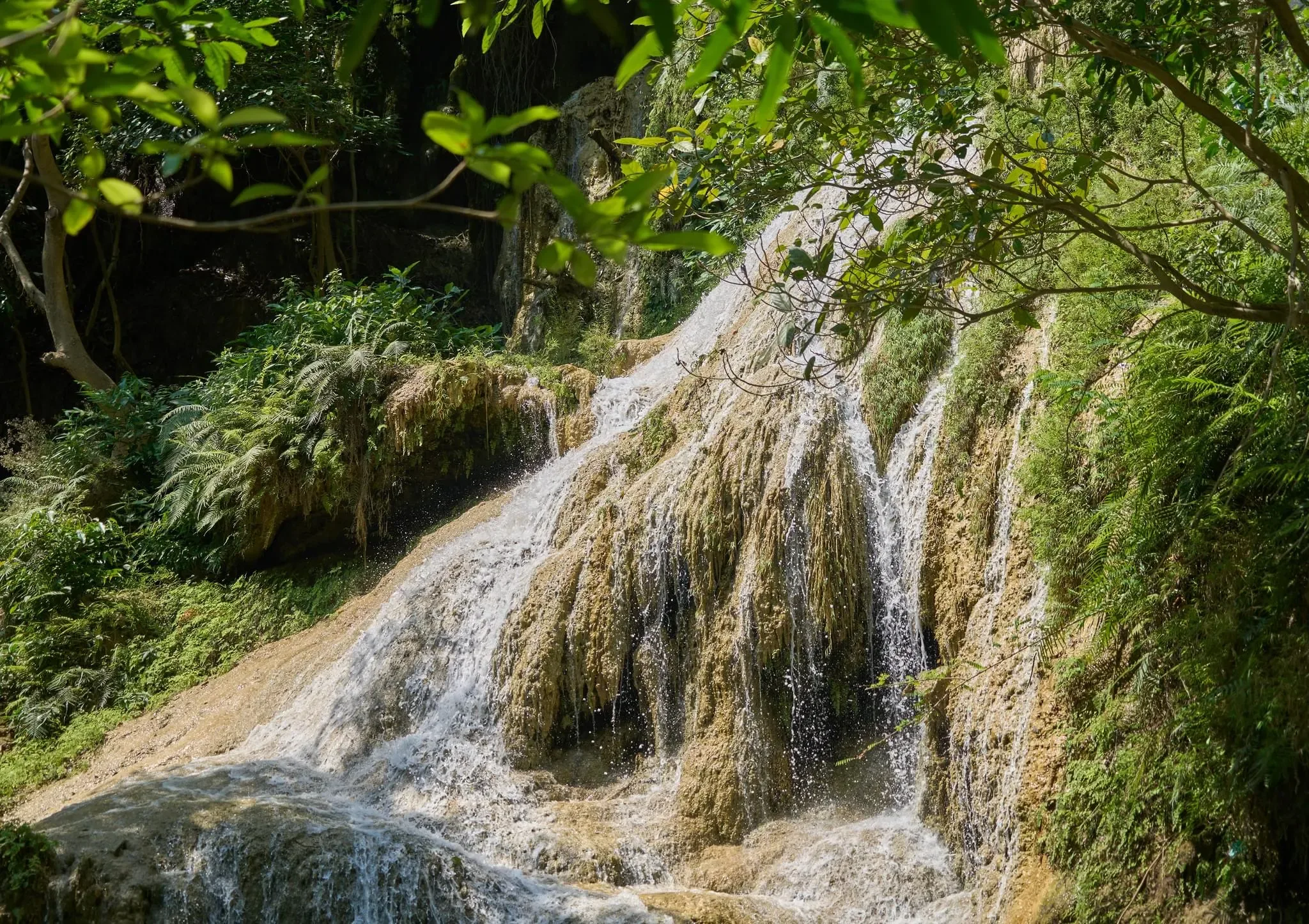 139 photos of Bulging Terrace Jungle Waterfall