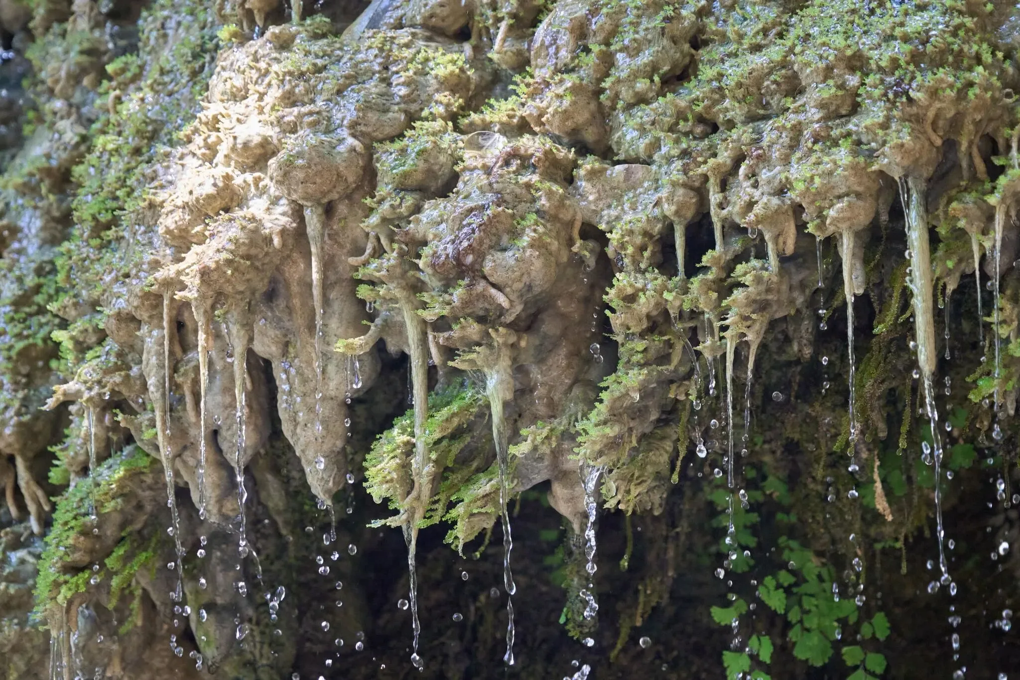 139 photos of Bulging Terrace Jungle Waterfall