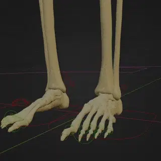 Rig a Skeleton with Blender and Rigify (Video Course)