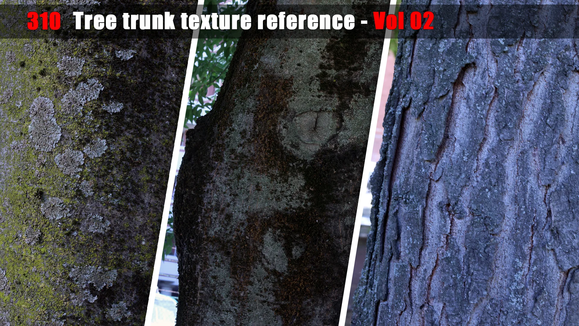 Tree trunk texture reference - Vol 02