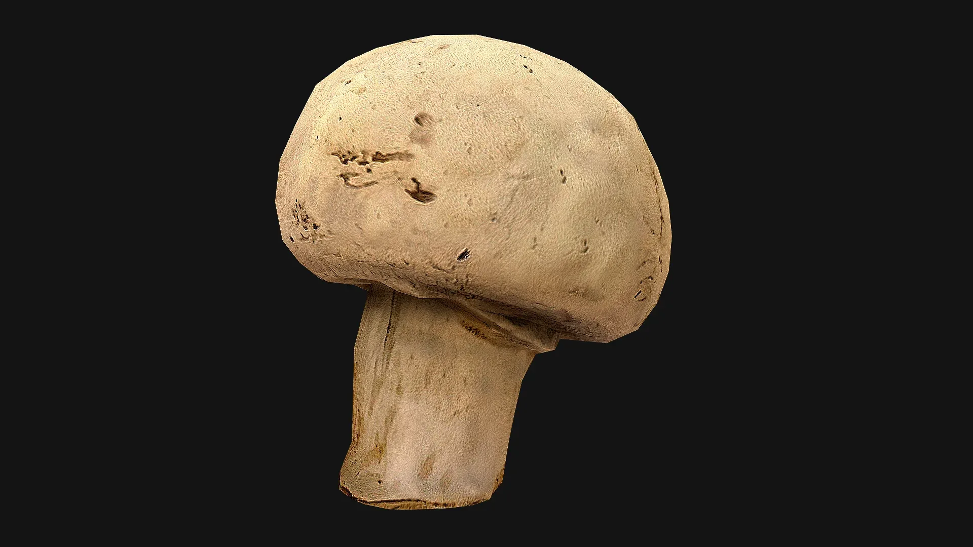 Champignon Mushrooms
