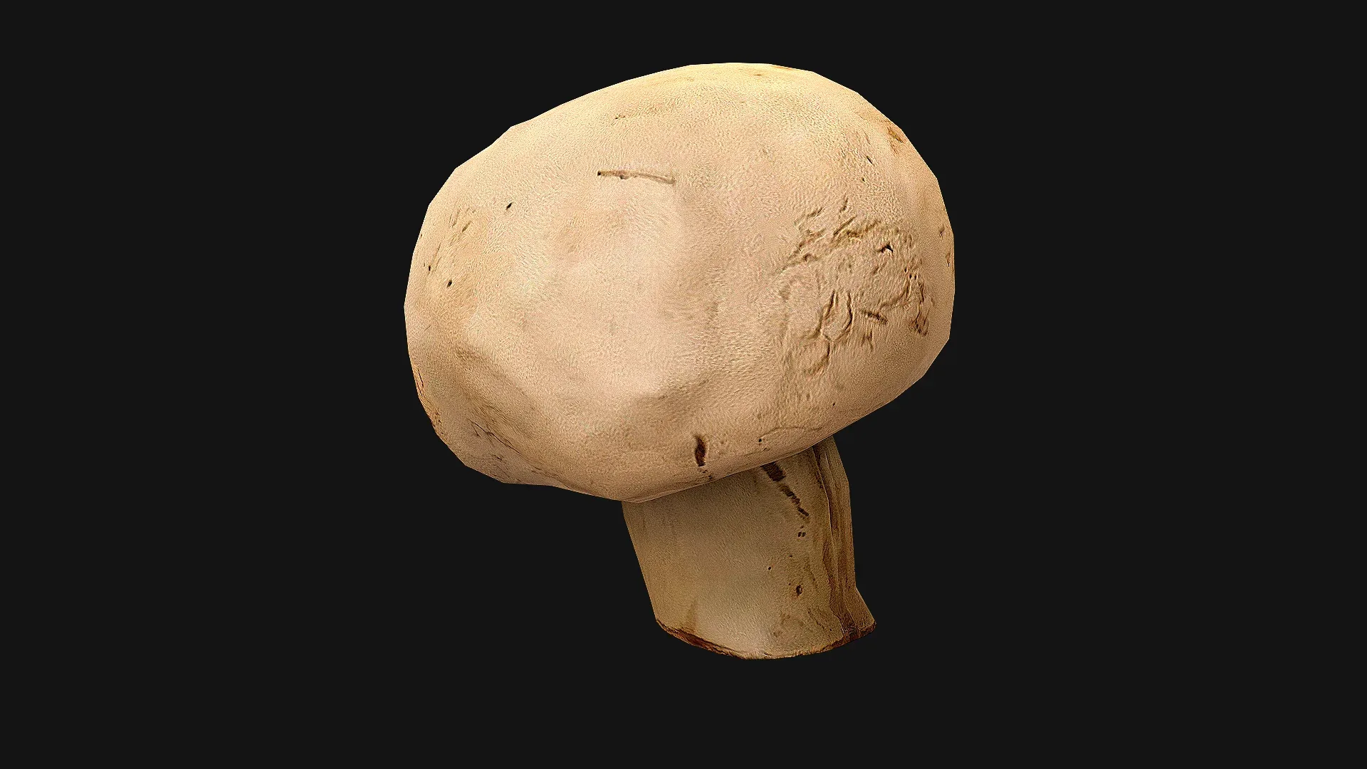 Champignon Mushrooms