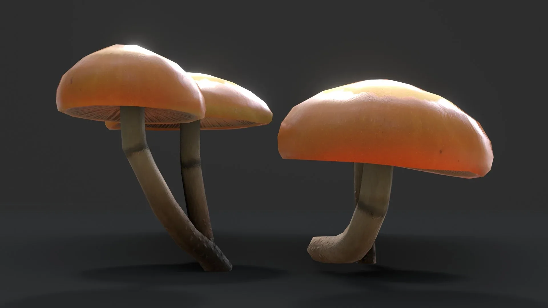 Sheathed Woodtuft Mushrooms Set