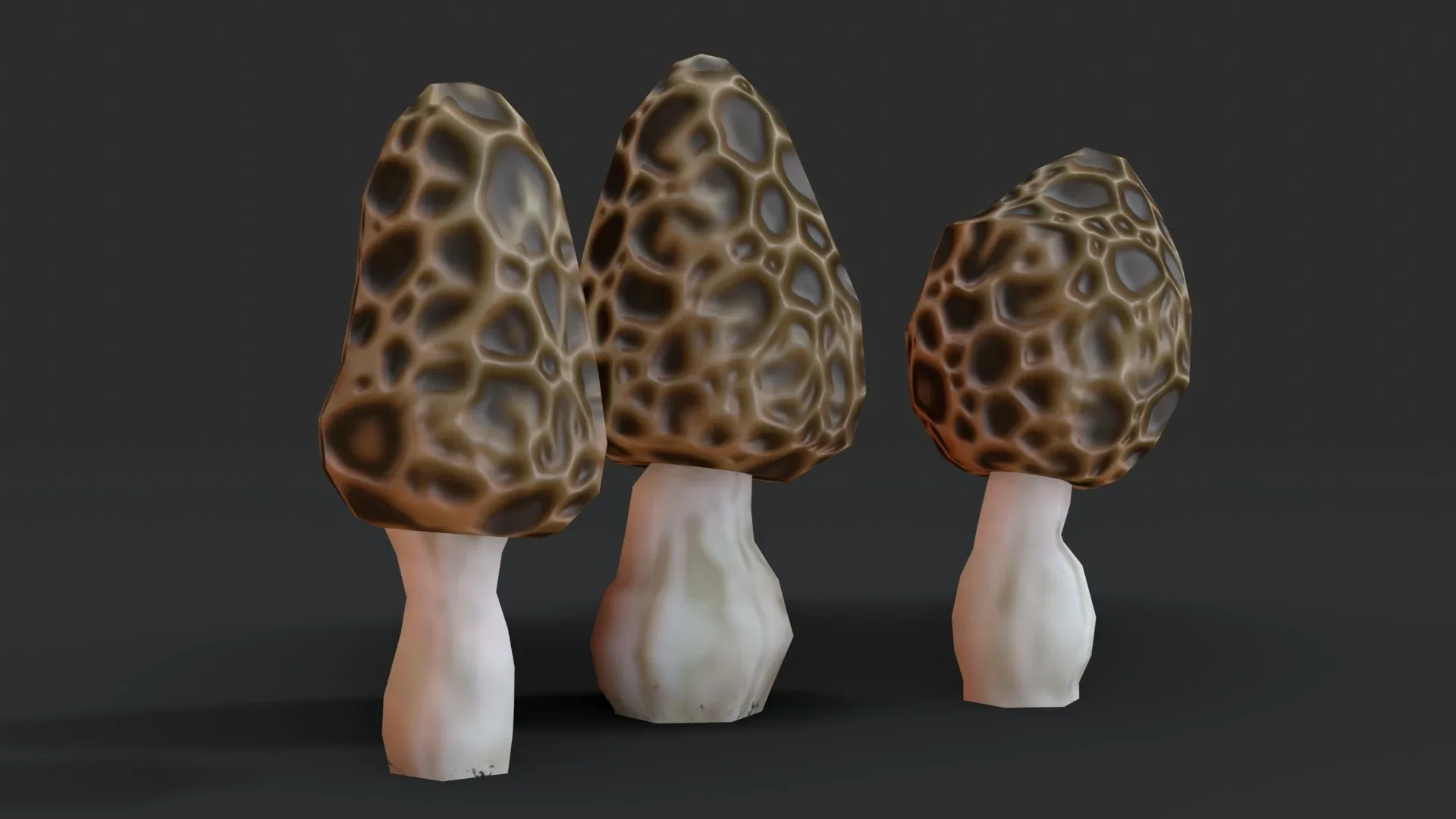 Morel Mushrooms Set