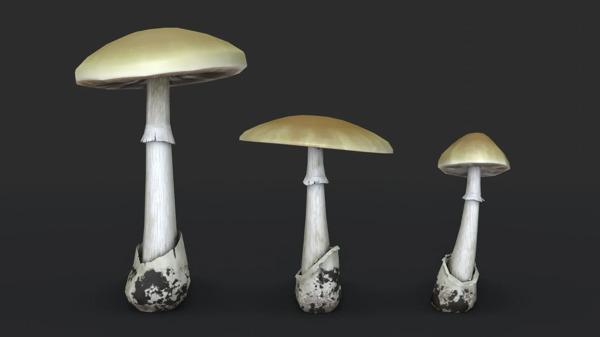 Death Cap Mushroom Set