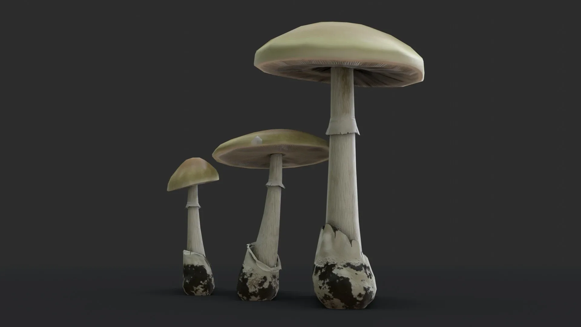 Death Cap Mushroom Set