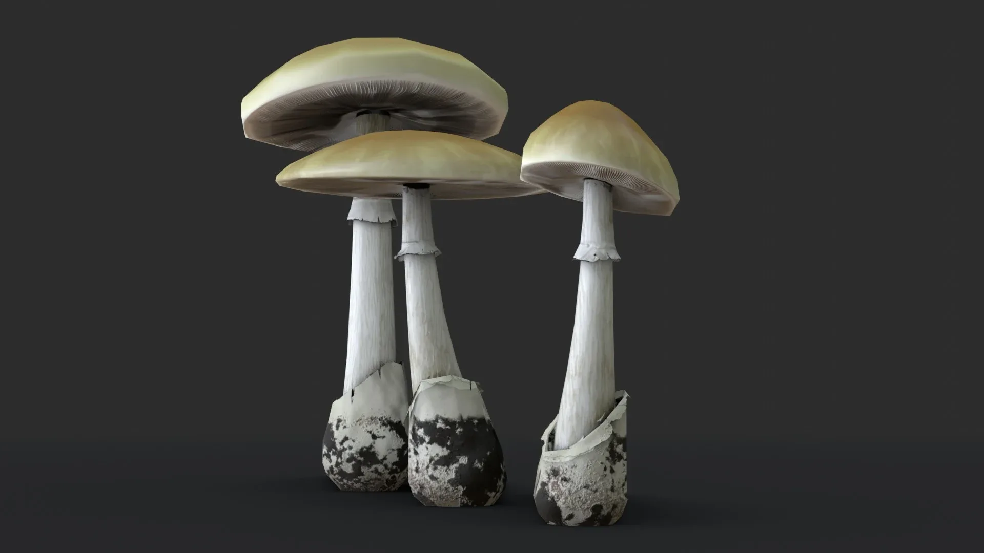 Death Cap Mushroom Set