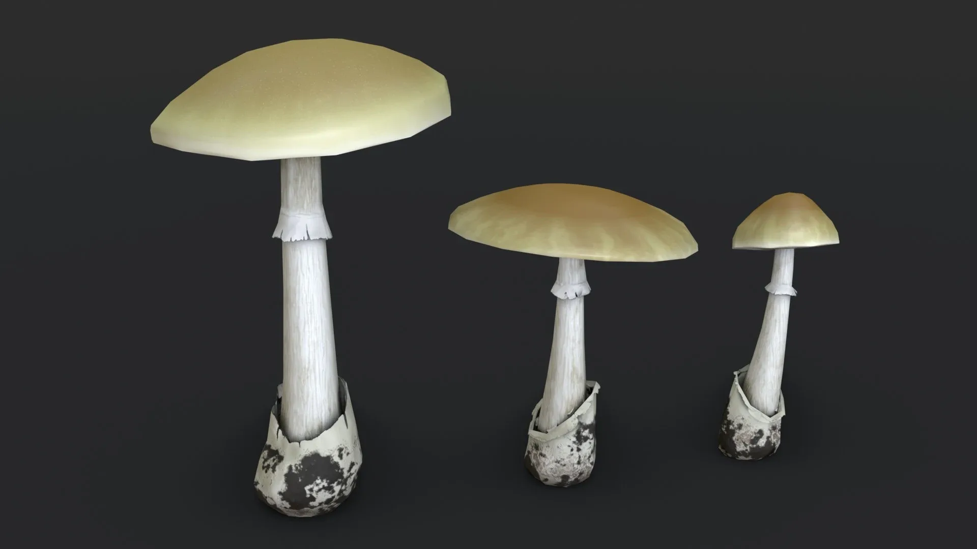 Death Cap Mushroom Set