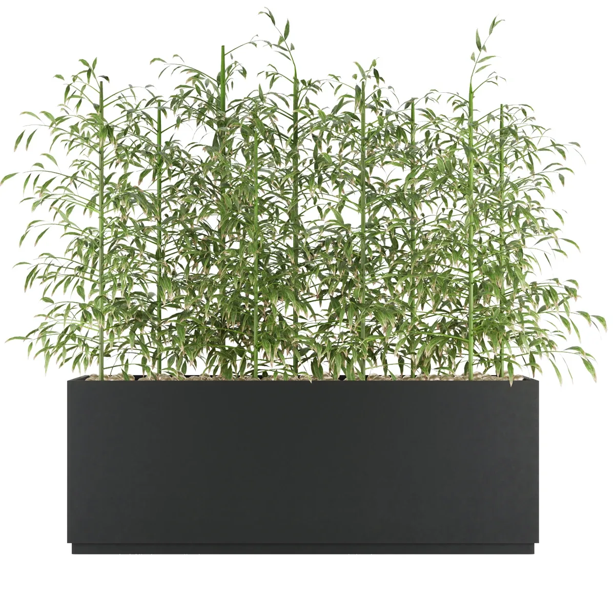 Collection plant vol 94 - bamboo - leaf - blender - 3dmax - cinema 4d