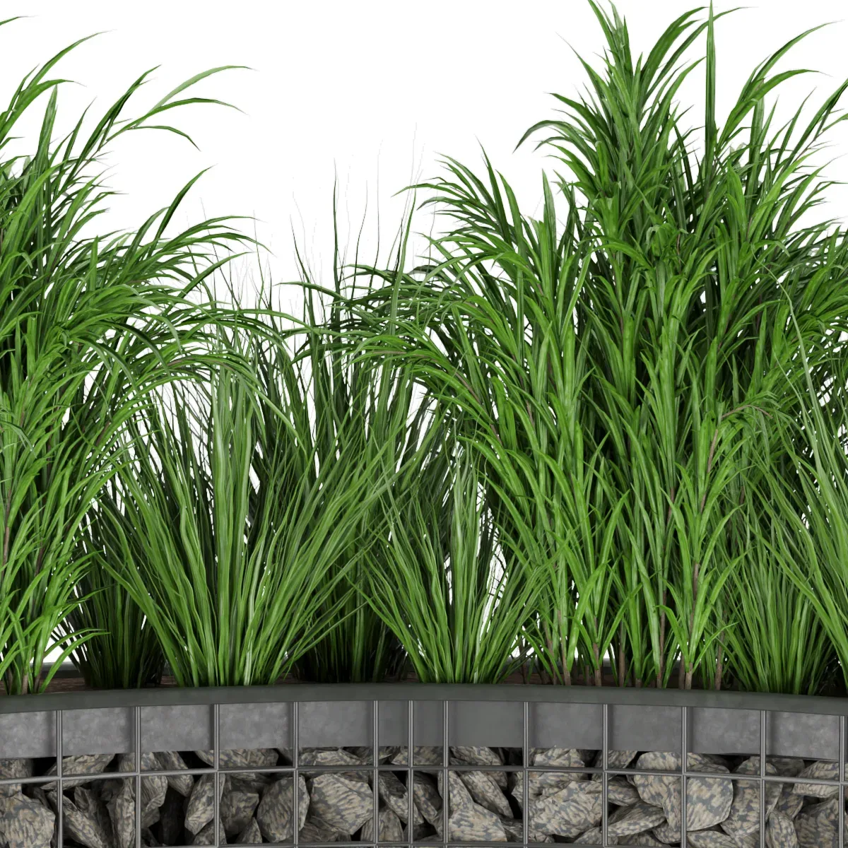 Collection plant vol 141 - leaf - grass - blender - 3dmax - cinema 4d