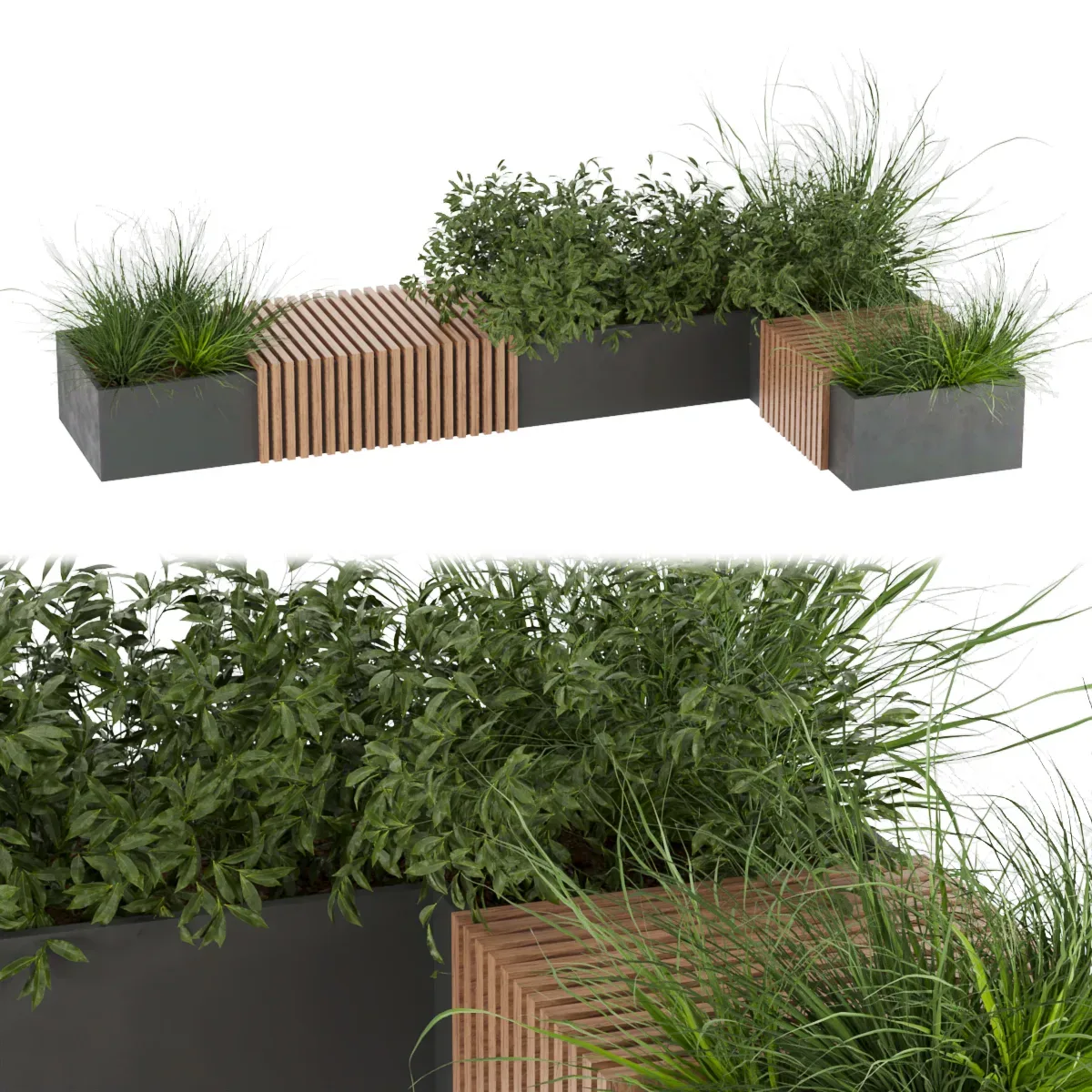 Collection plant vol 224 - leaf - bench - grass - blender - 3dmax - cinema 4d