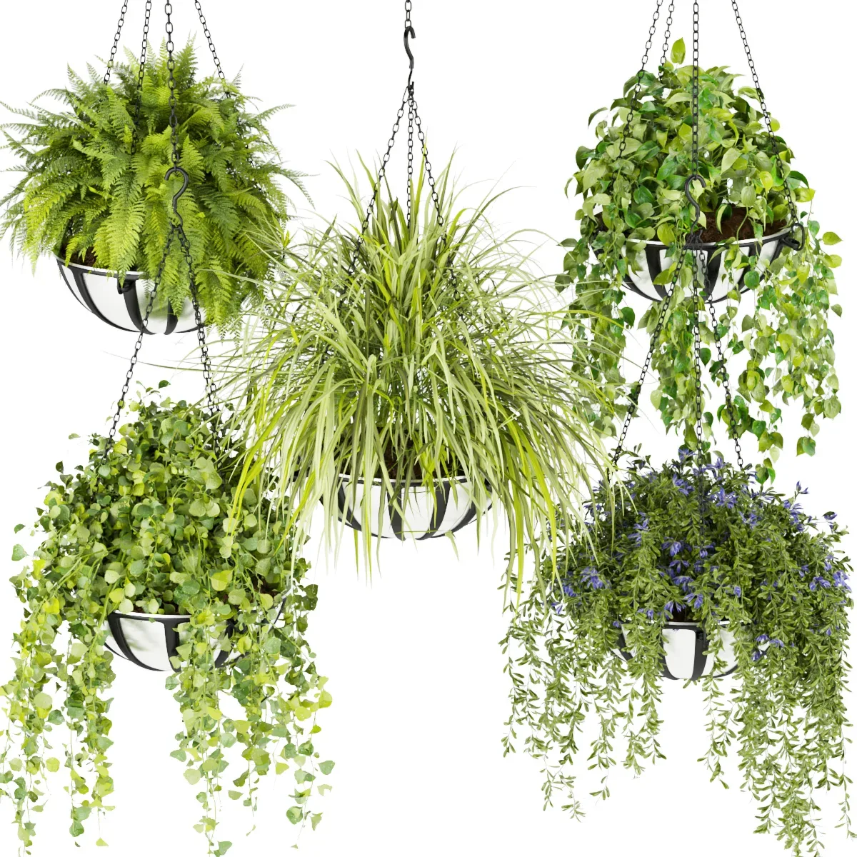 Collection plant vol 240 - leaf - grass - hanging - blender - 3dmax